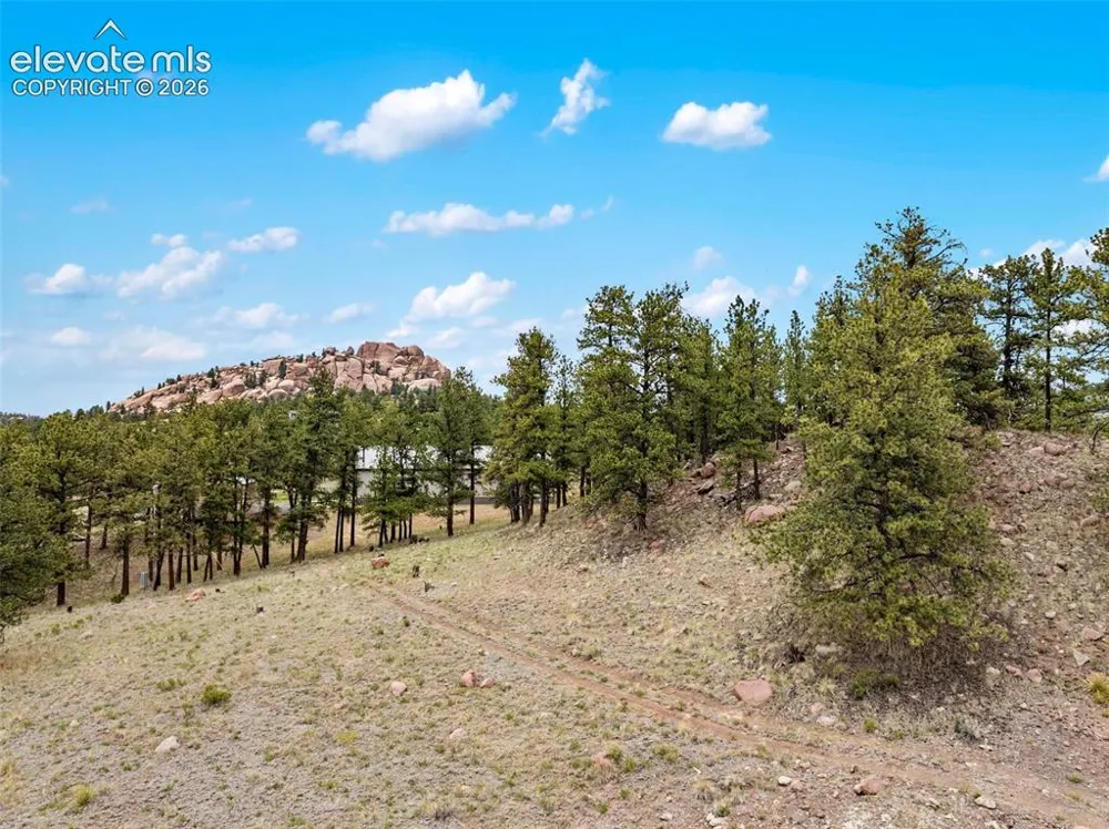 251 Surrey Lane Florissant, CO 80816