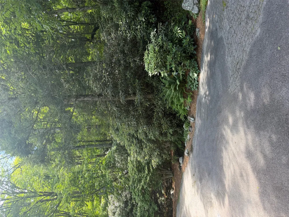 TBD Highlands Point Highlands, NC 28741