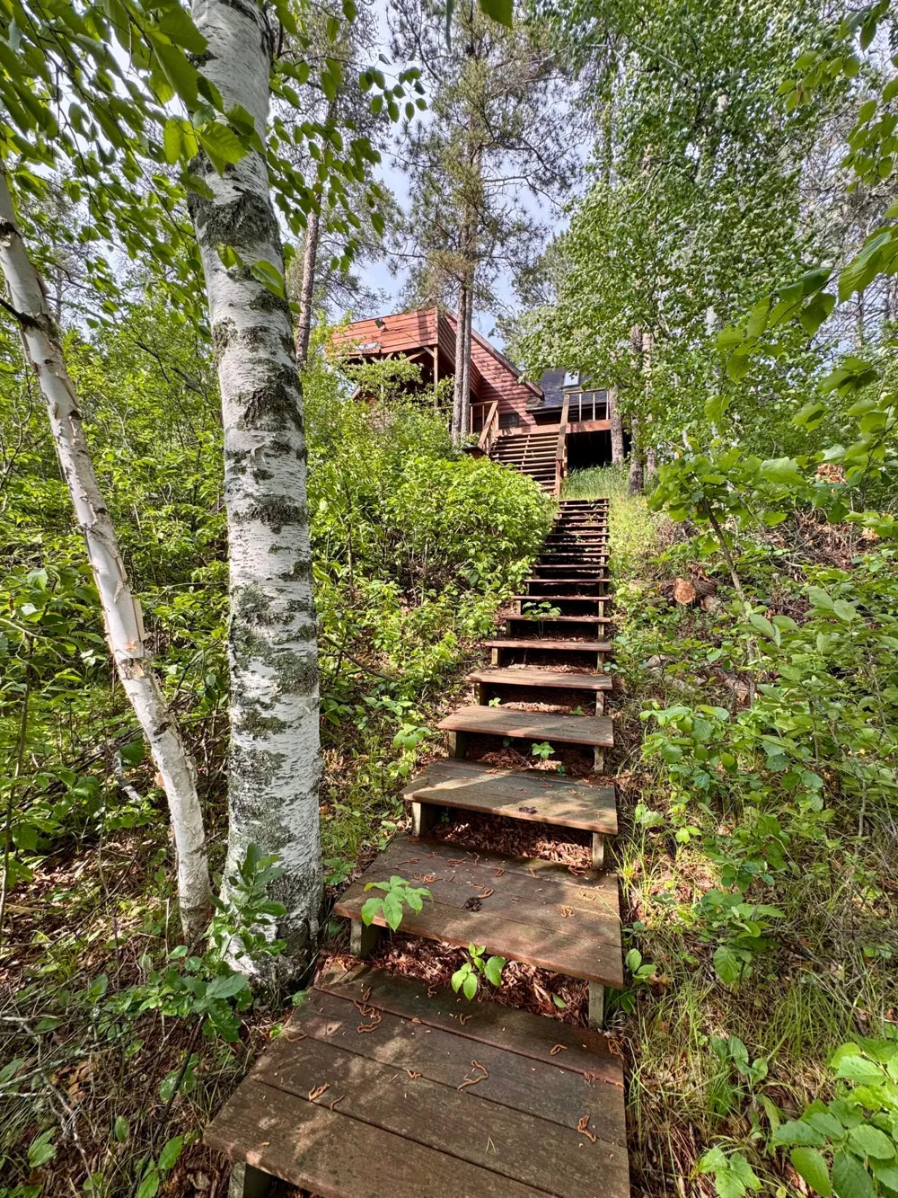 17619 Ivy Drive Park Rapids, MN 56470