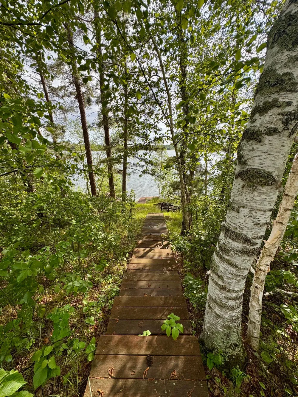 17619 Ivy Drive Park Rapids, MN 56470