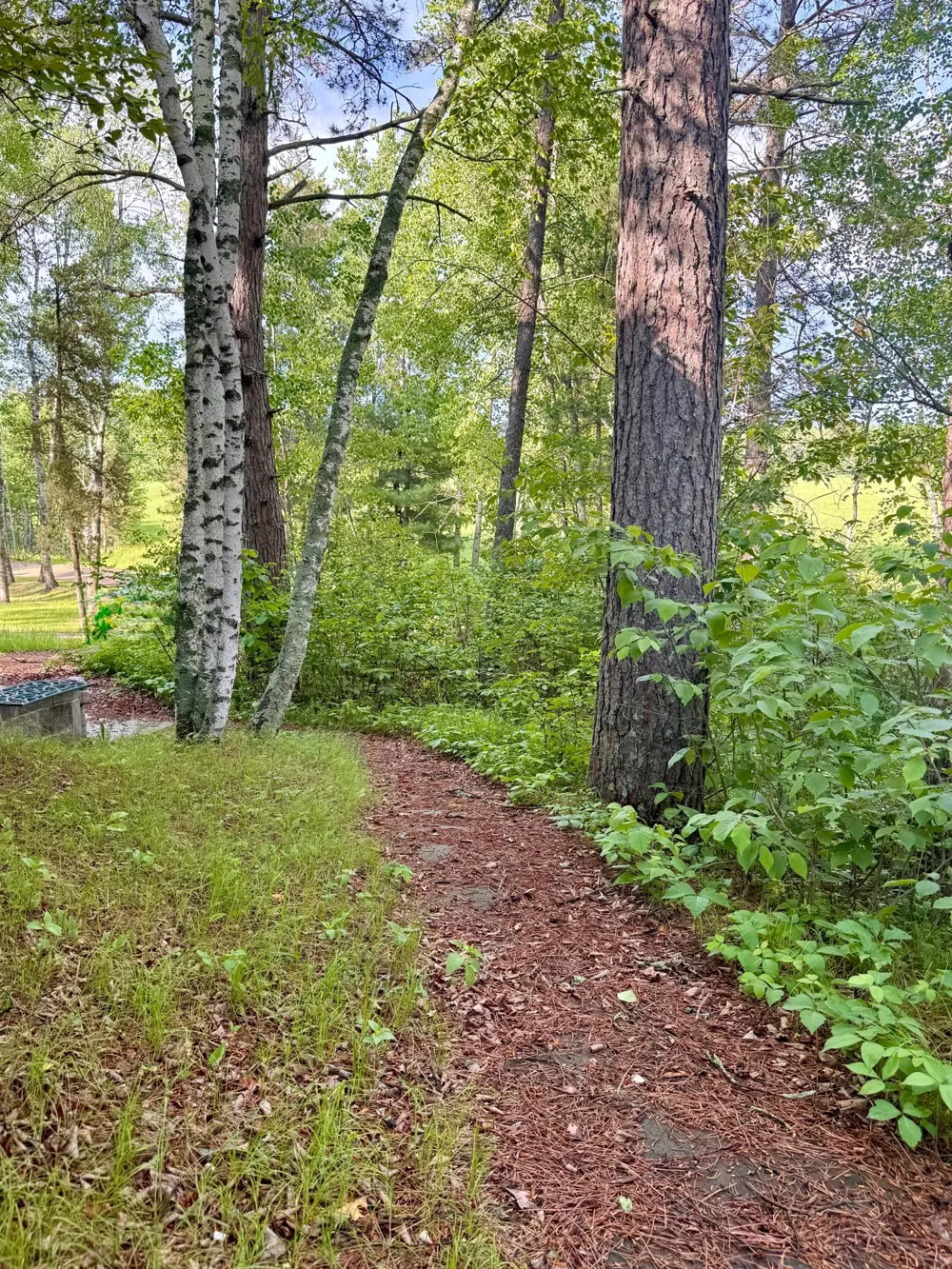 17619 Ivy Drive Park Rapids, MN 56470