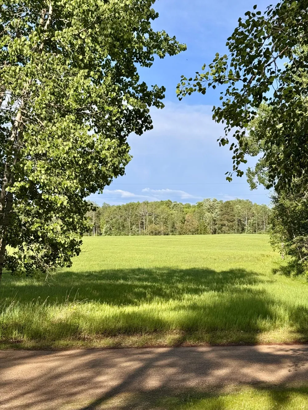 17619 Ivy Drive Park Rapids, MN 56470
