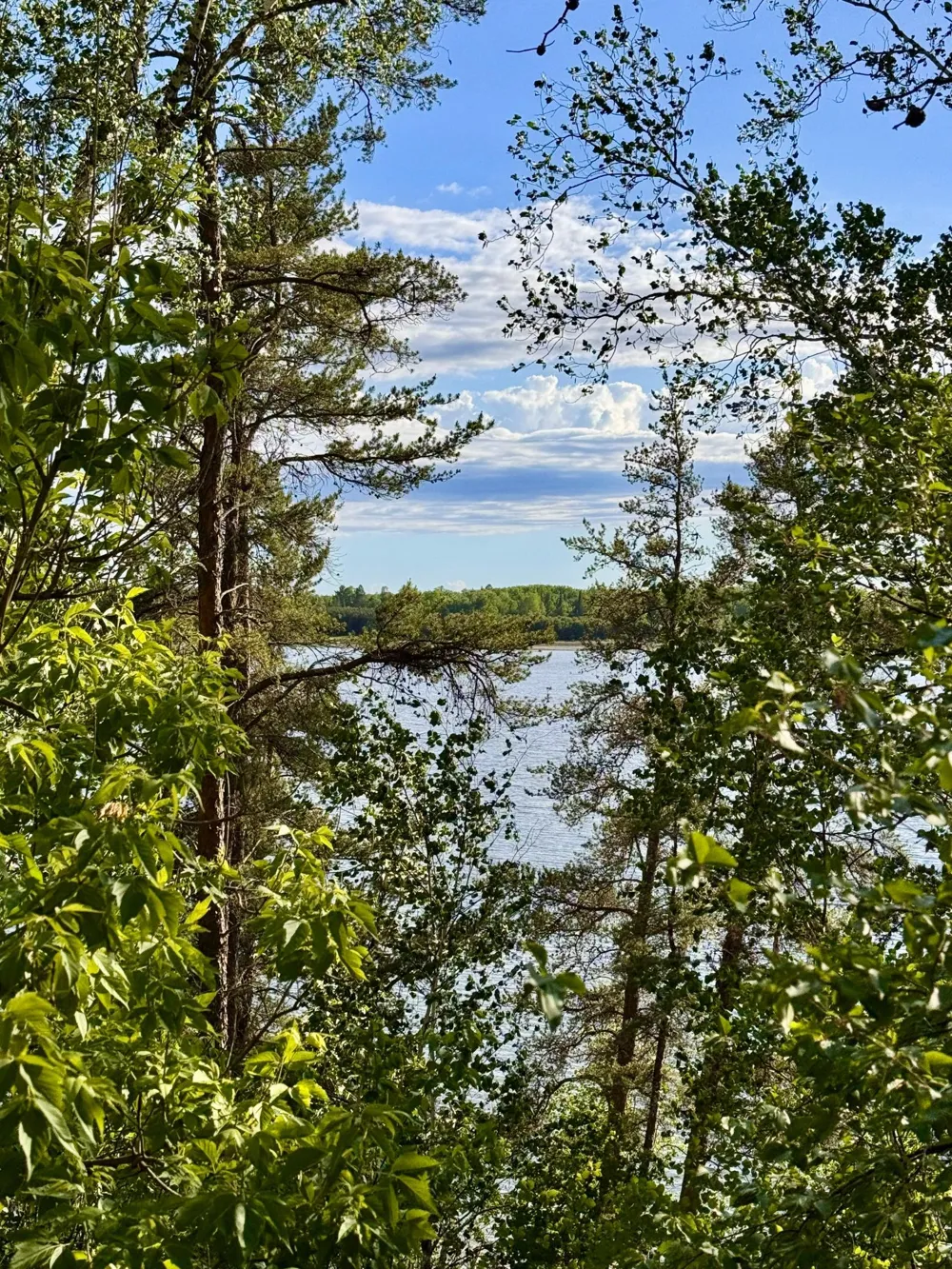 17619 Ivy Drive Park Rapids, MN 56470