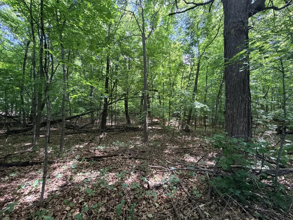10897 North Ridge Lane Avon, MN 56310