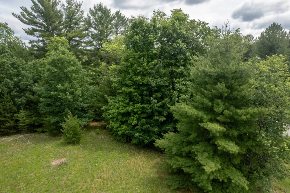 5502 Paradise Ranch Paradise Township, MI 49649