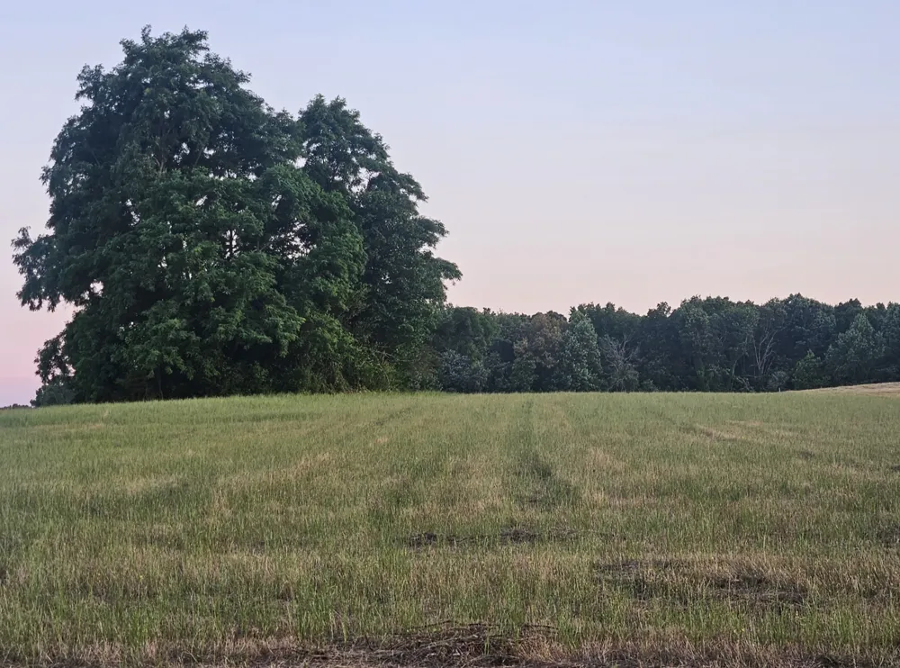 0 Blanton School Rd Woodbury, TN 37190