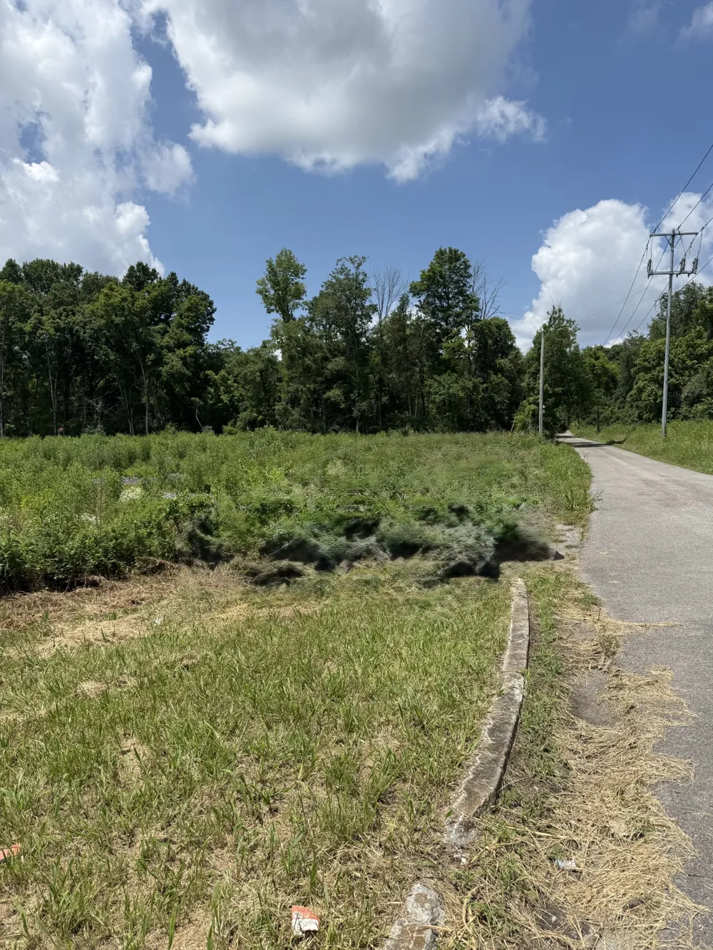 0 Hills Lane Old Hickory, TN 37138