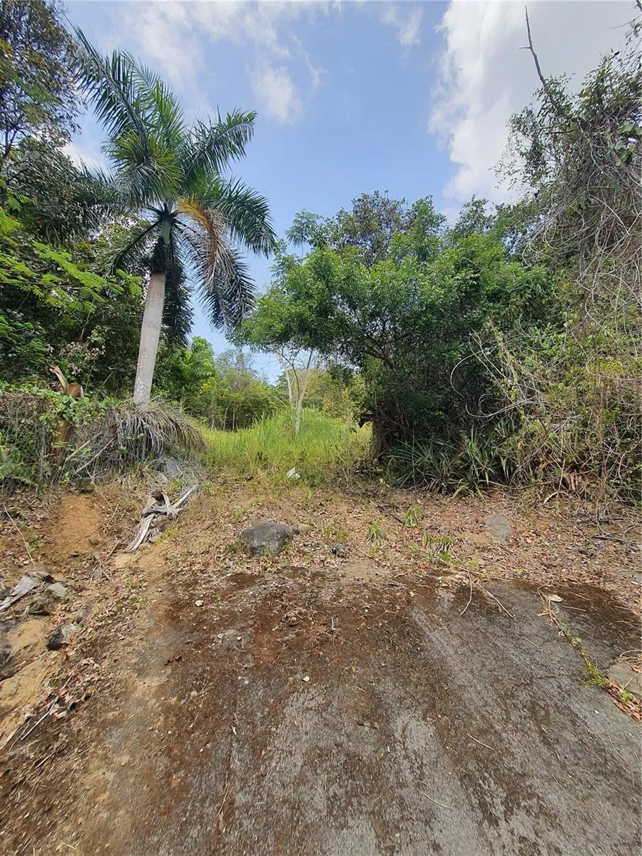 PR-853 INTERIOR CACAO WARD #LOT 7 Carolina, PR 00987