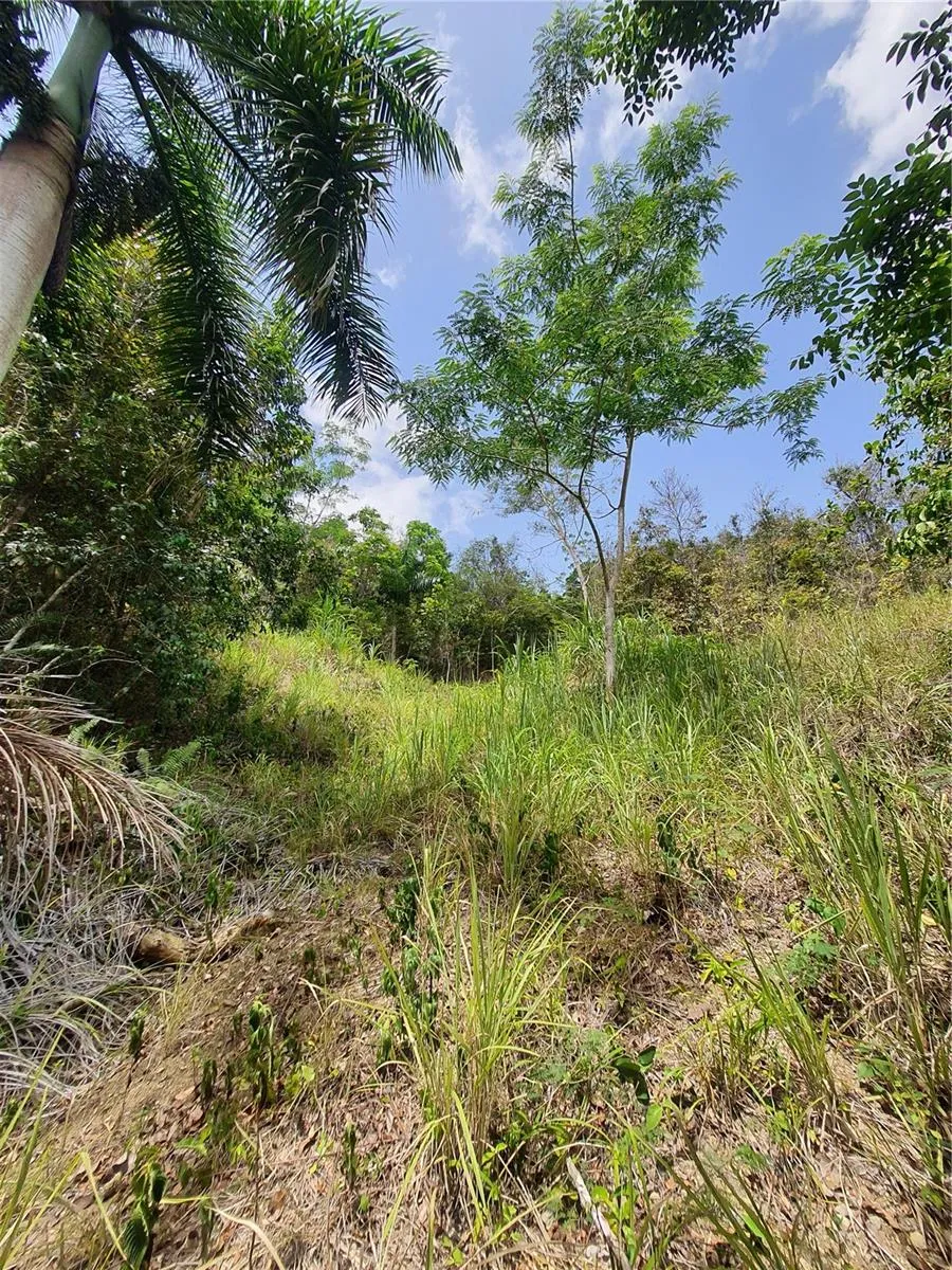 PR-853 INTERIOR CACAO WARD #LOT 7 Carolina, PR 00987