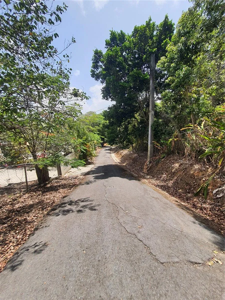 PR-853 INTERIOR CACAO WARD #LOT 7 Carolina, PR 00987