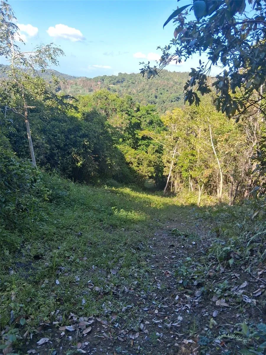 PR-853 INTERIOR CACAO WARD #LOT 7 Carolina, PR 00987