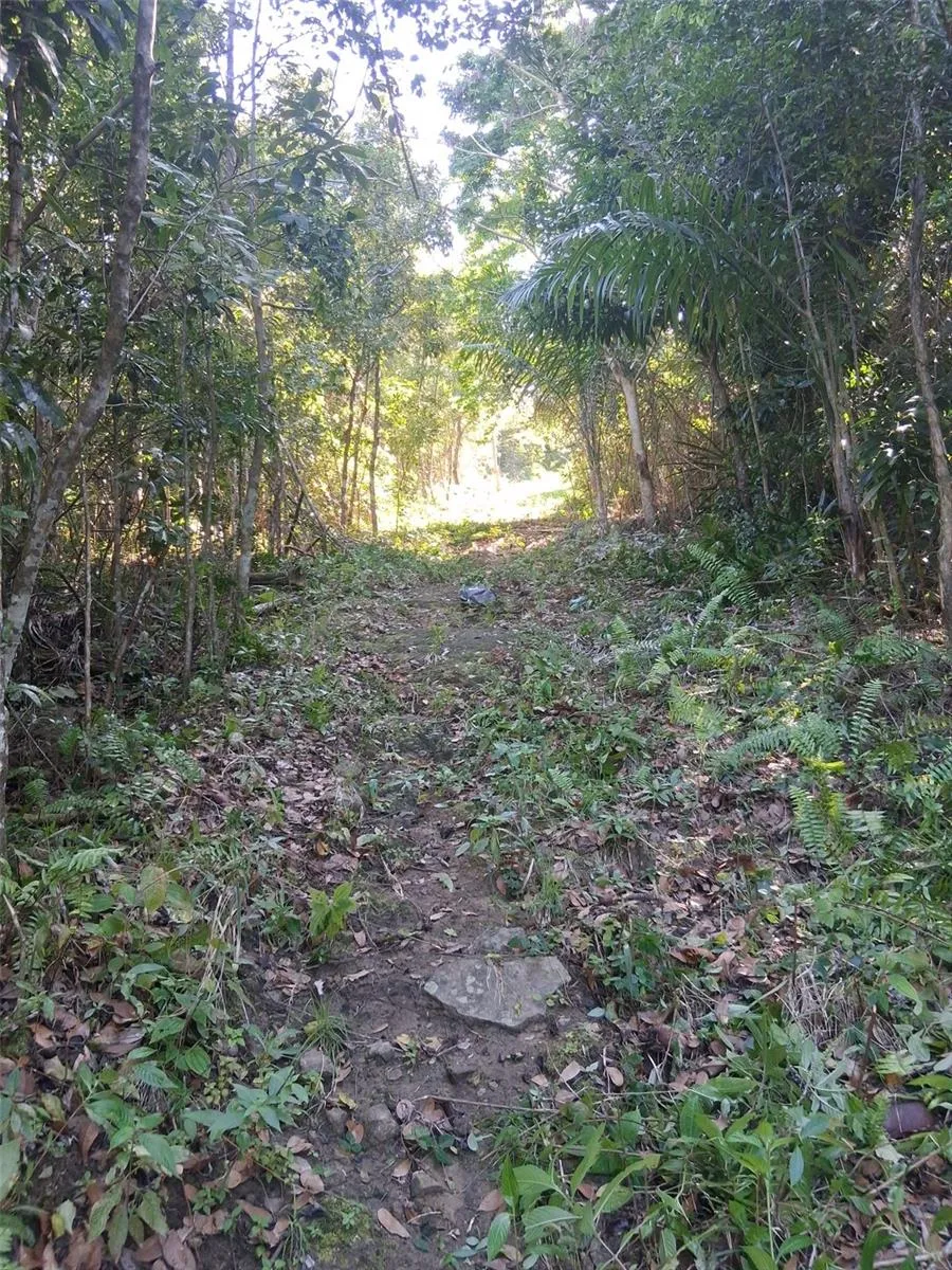 PR-853 INTERIOR CACAO WARD #LOT 7 Carolina, PR 00987