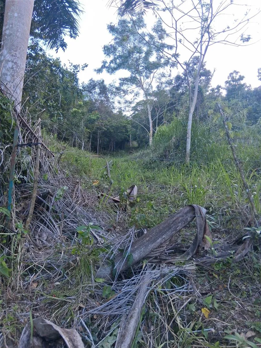 PR-853 INTERIOR CACAO WARD #LOT 7 Carolina, PR 00987