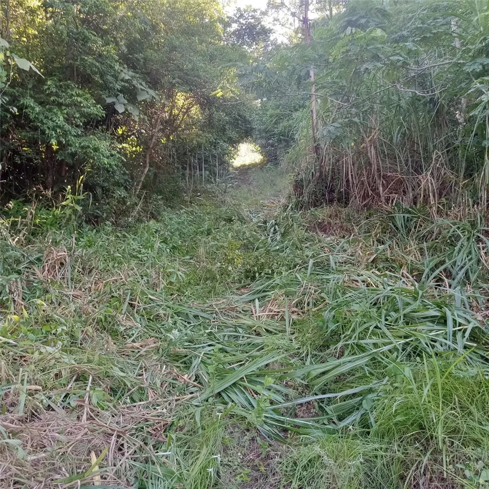 PR-853 INTERIOR CACAO WARD #LOT 7 Carolina, PR 00987
