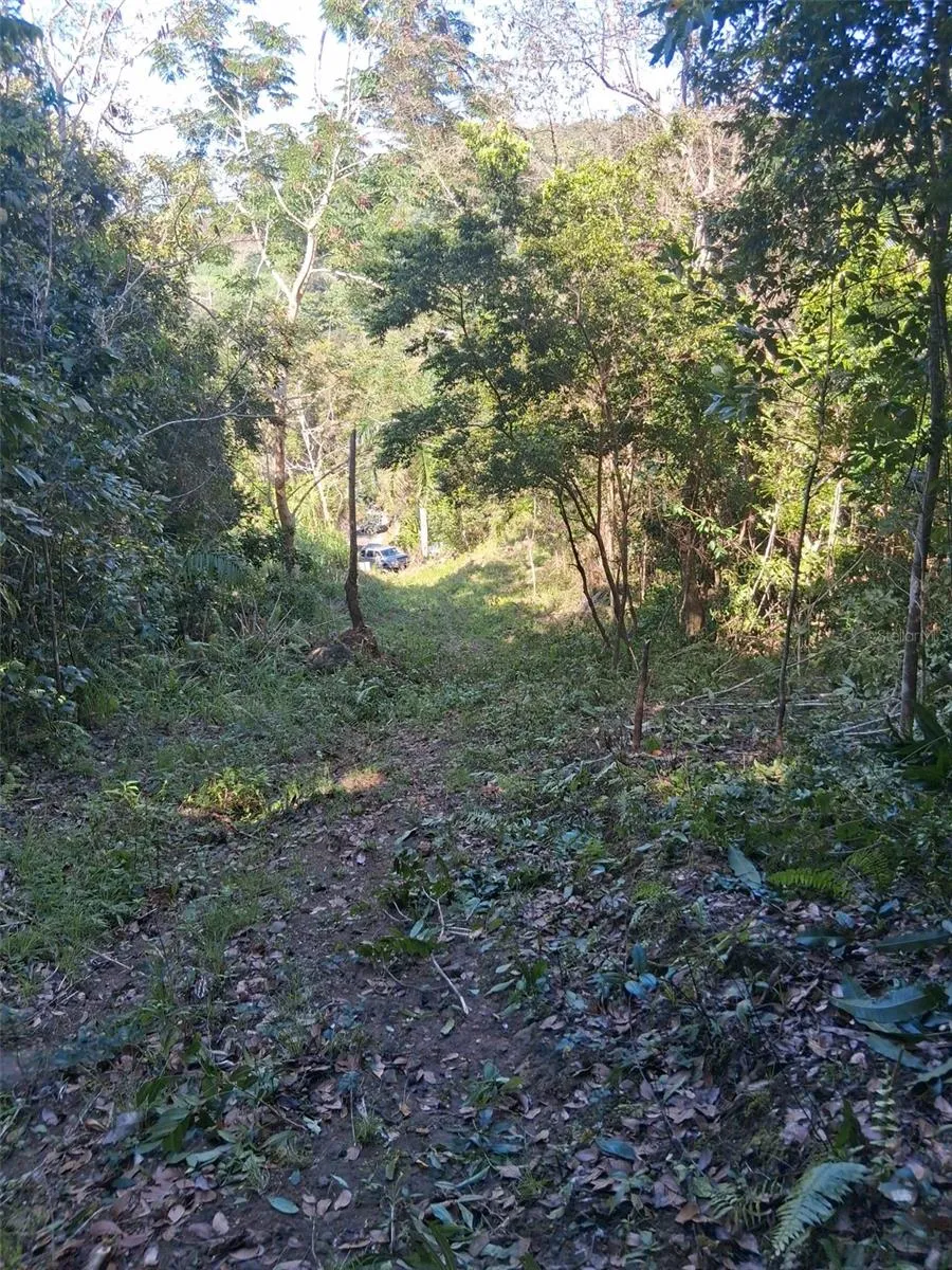 PR-853 INTERIOR CACAO WARD #LOT 7 Carolina, PR 00987