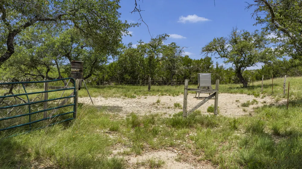 1222 Wegener Trail Fischer, TX 78623