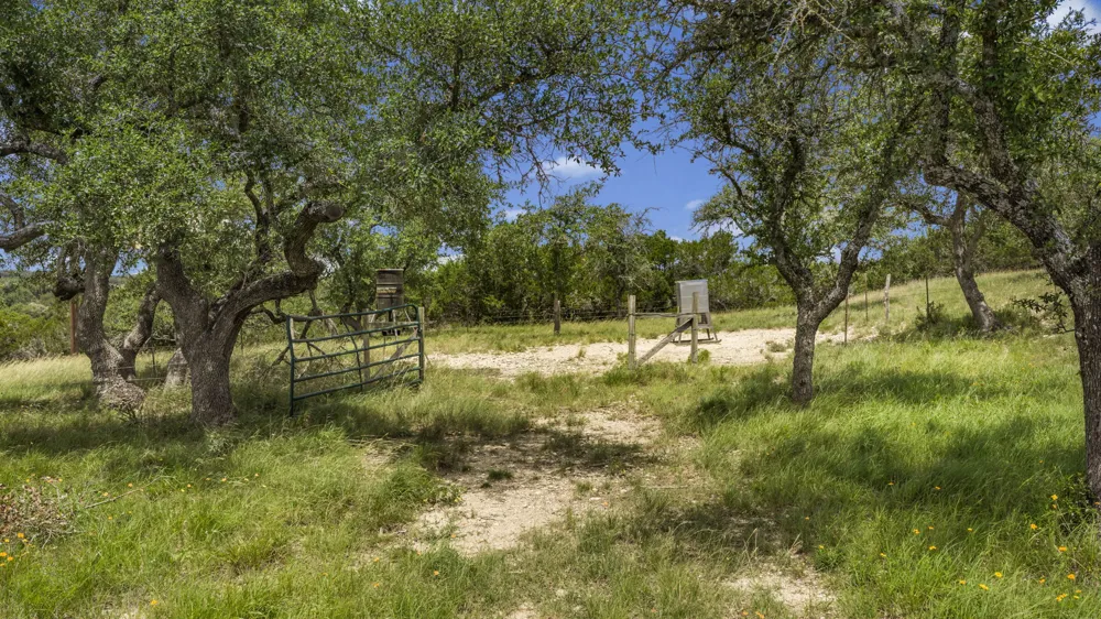 1222 Wegener Trail Fischer, TX 78623