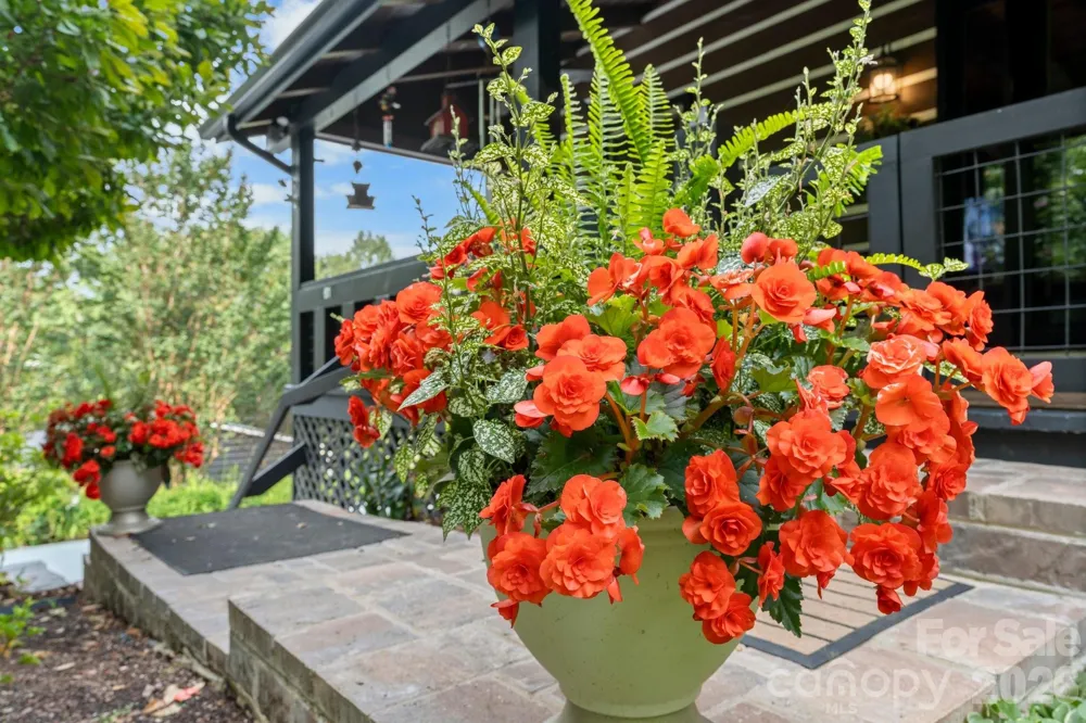 61 Honeycutt Lane #2 Nebo, NC 28761