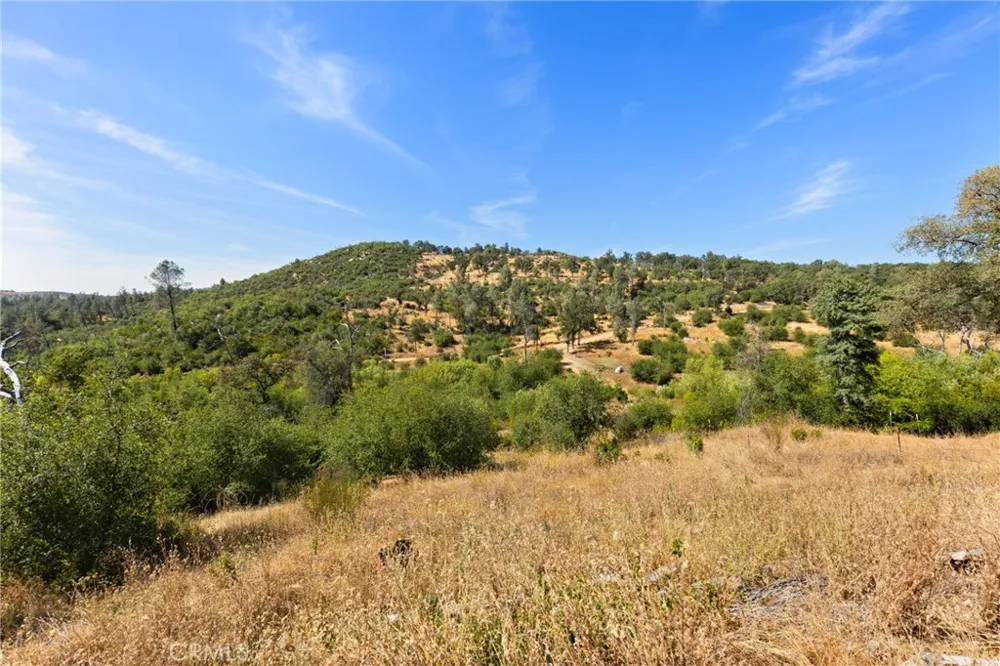 175 Stoney Oaks Loop Bangor, CA 95914