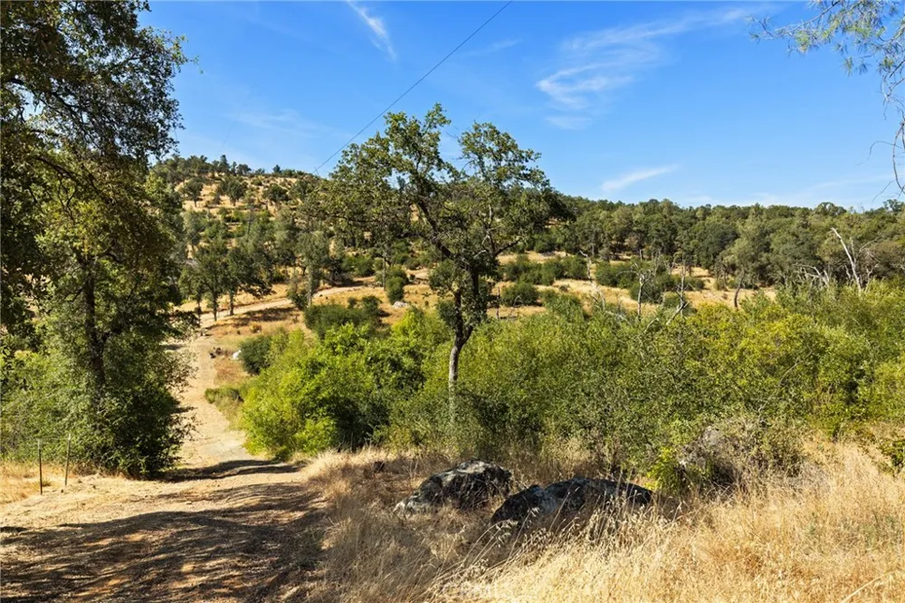 175 Stoney Oaks Loop Bangor, CA 95914
