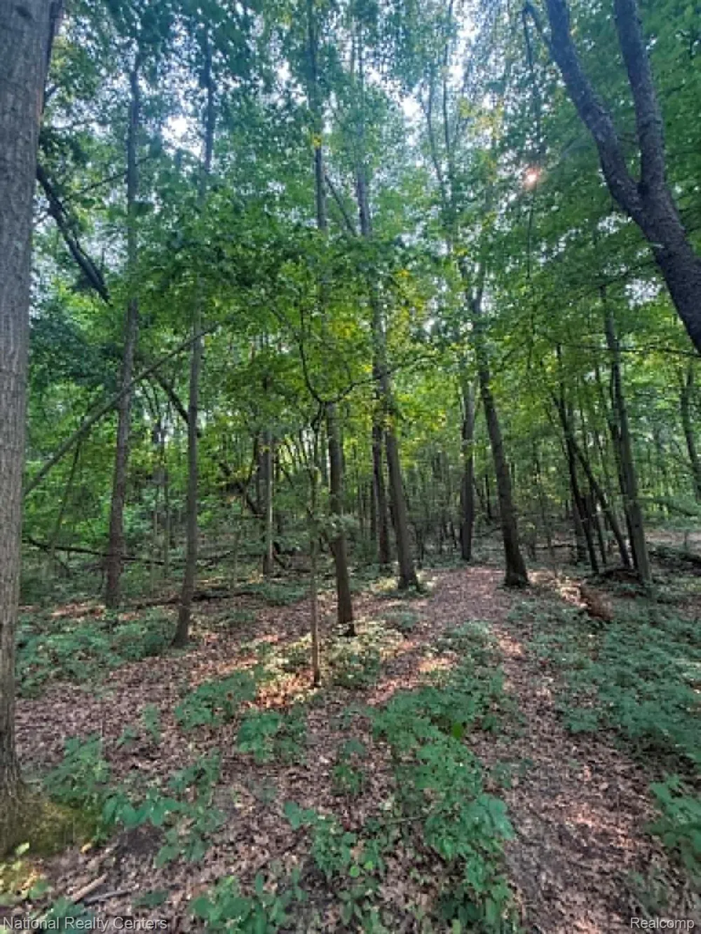 1330 Brauer Road Metamora Township, MI 48371