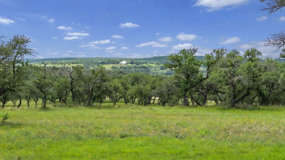 1222 Wegener Trail Fischer, TX 78623