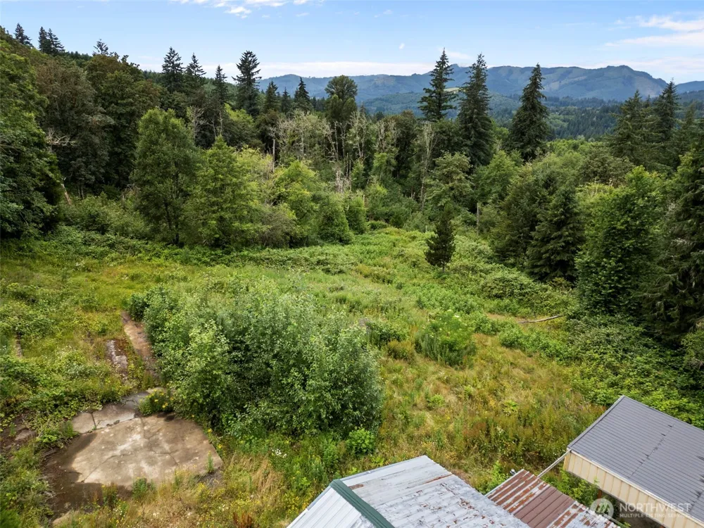 13500 NE 406th Street Amboy, WA 98601