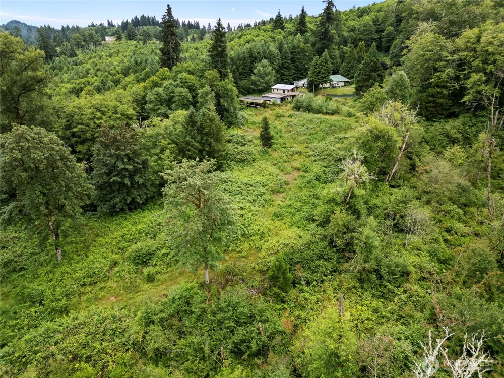 13500 NE 406th Street Amboy, WA 98601