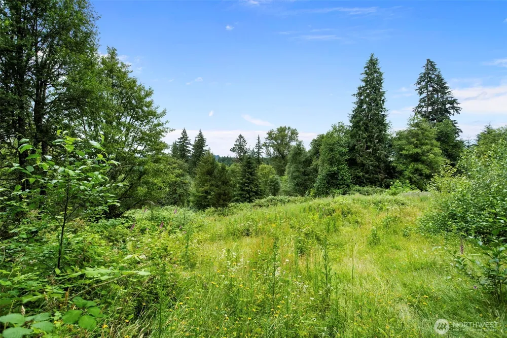 13500 NE 406th Street Amboy, WA 98601
