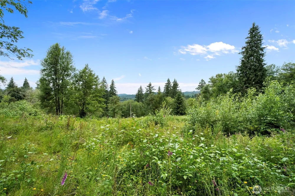 13500 NE 406th Street Amboy, WA 98601
