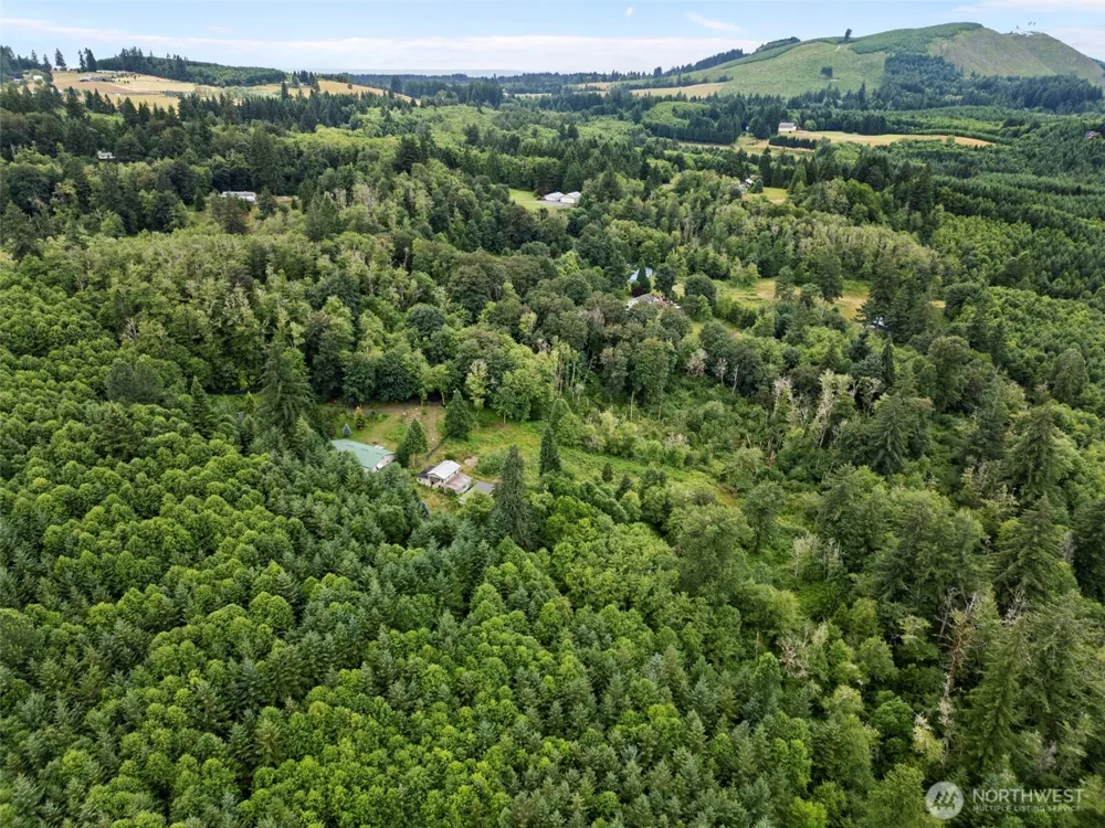 13500 NE 406th Street Amboy, WA 98601