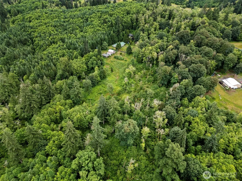 13500 NE 406th Street Amboy, WA 98601