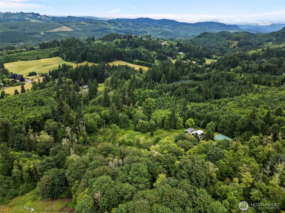 13500 NE 406th Street Amboy, WA 98601