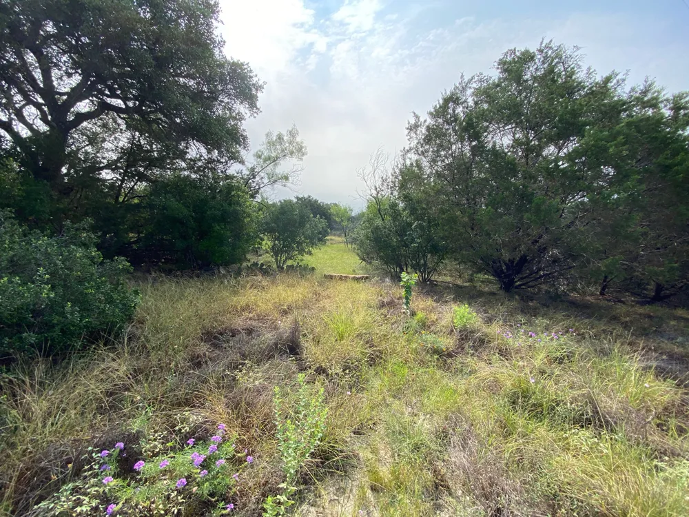 32 Pedernales Oaks Drive Johnson City, TX 76636