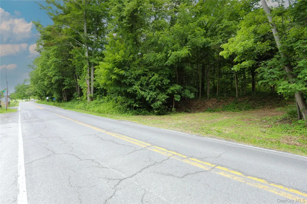 TBD Old Kings Road Catskill, NY 12414