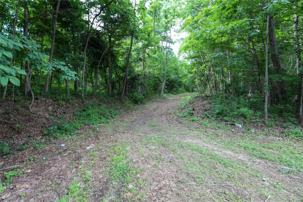 TBD Old Kings Road Catskill, NY 12414