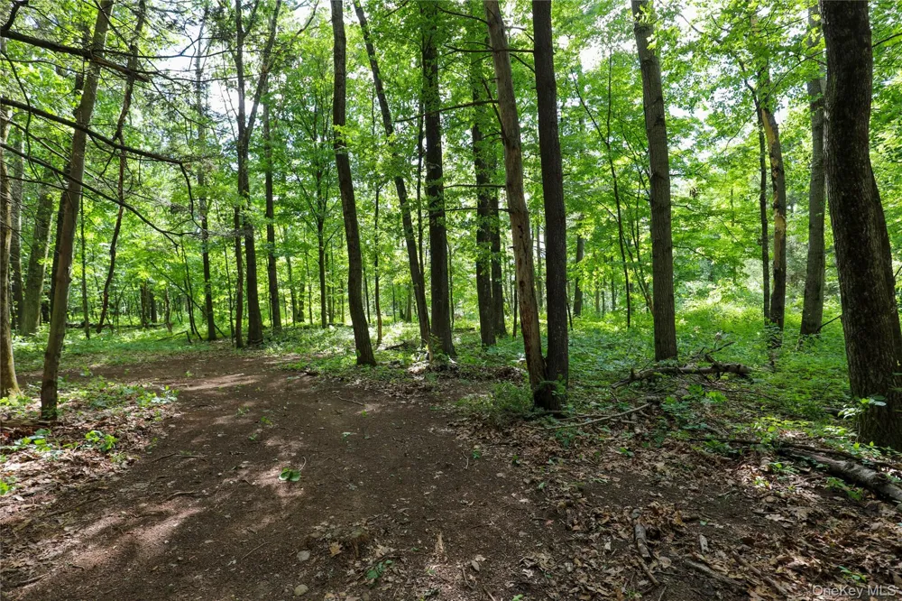 TBD Old Kings Road Catskill, NY 12414