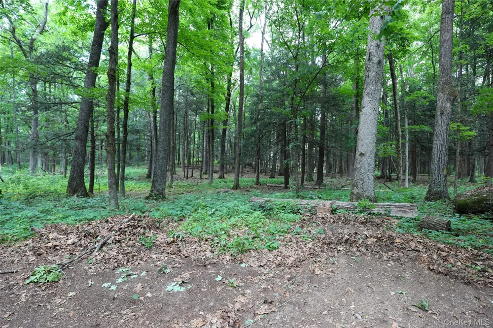 TBD Old Kings Road Catskill, NY 12414