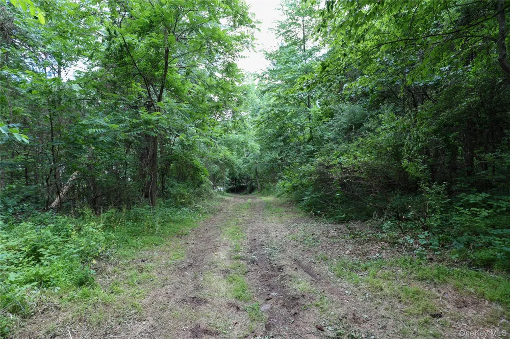 TBD Old Kings Road Catskill, NY 12414