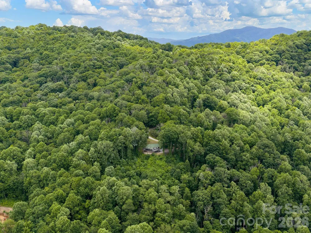 153 Windalier Lane Waynesville, NC 28786
