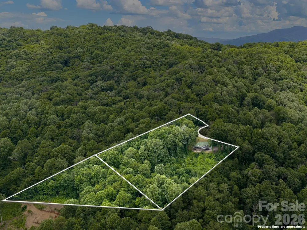 153 Windalier Lane Waynesville, NC 28786