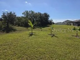 12588 TIMBER MOSS LANE Riverview, FL 33579