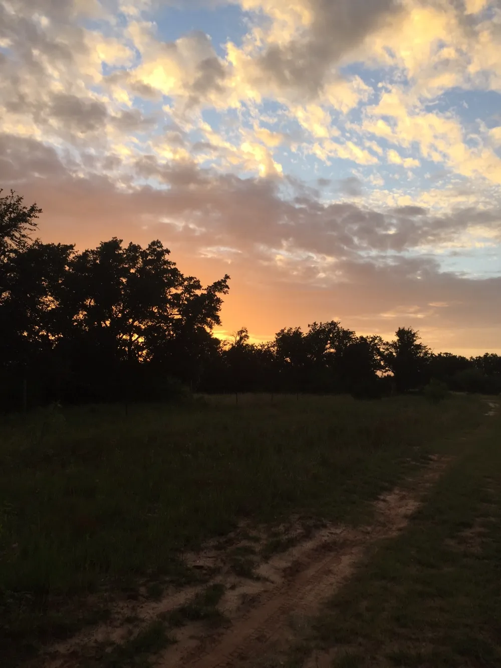 County Rd 2225 Iredell, TX 76649