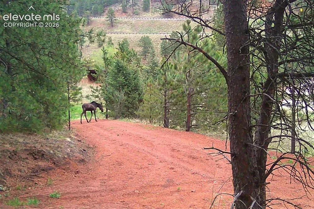 10905 W Highway 24 Green Mountain Falls, CO 80819