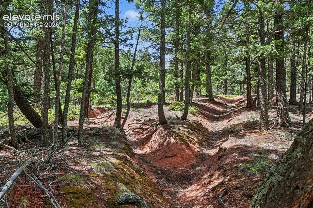10905 W Highway 24 Green Mountain Falls, CO 80819