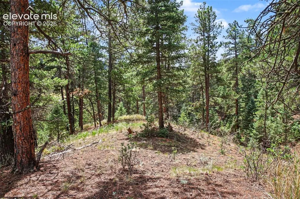 10905 W Highway 24 Green Mountain Falls, CO 80819