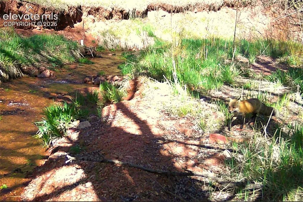 10905 W Highway 24 Green Mountain Falls, CO 80819