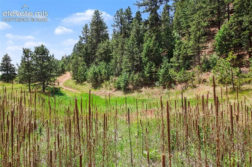 10905 W Highway 24 Green Mountain Falls, CO 80819
