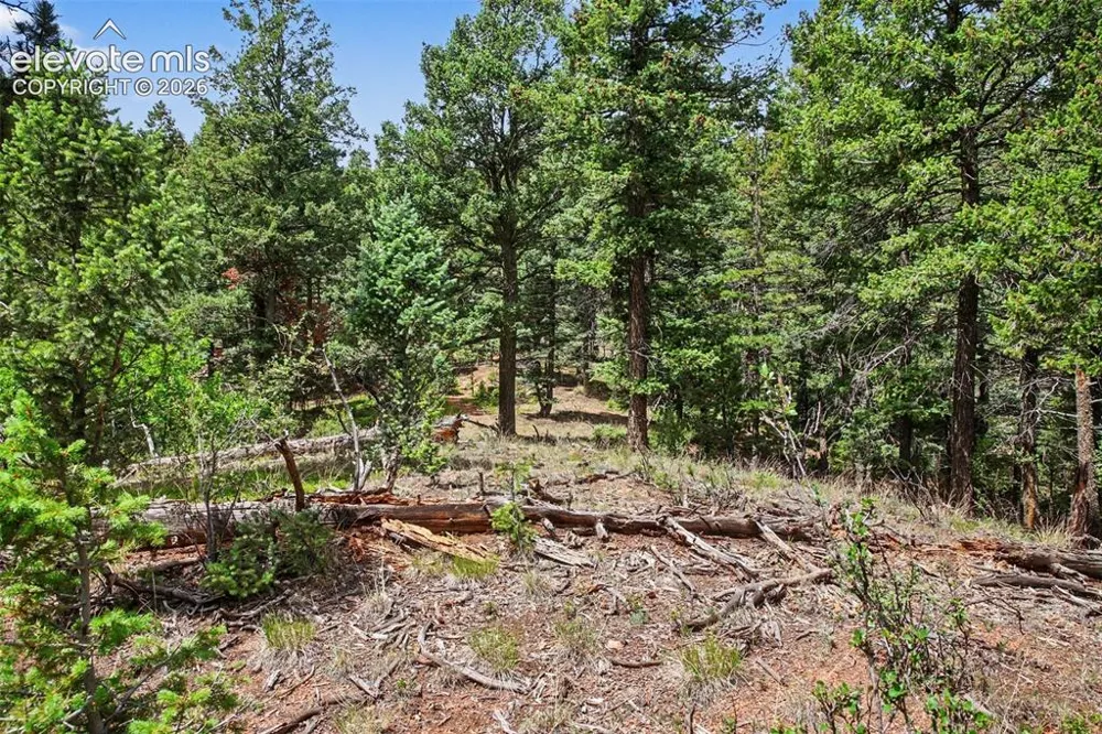 10905 W Highway 24 Green Mountain Falls, CO 80819