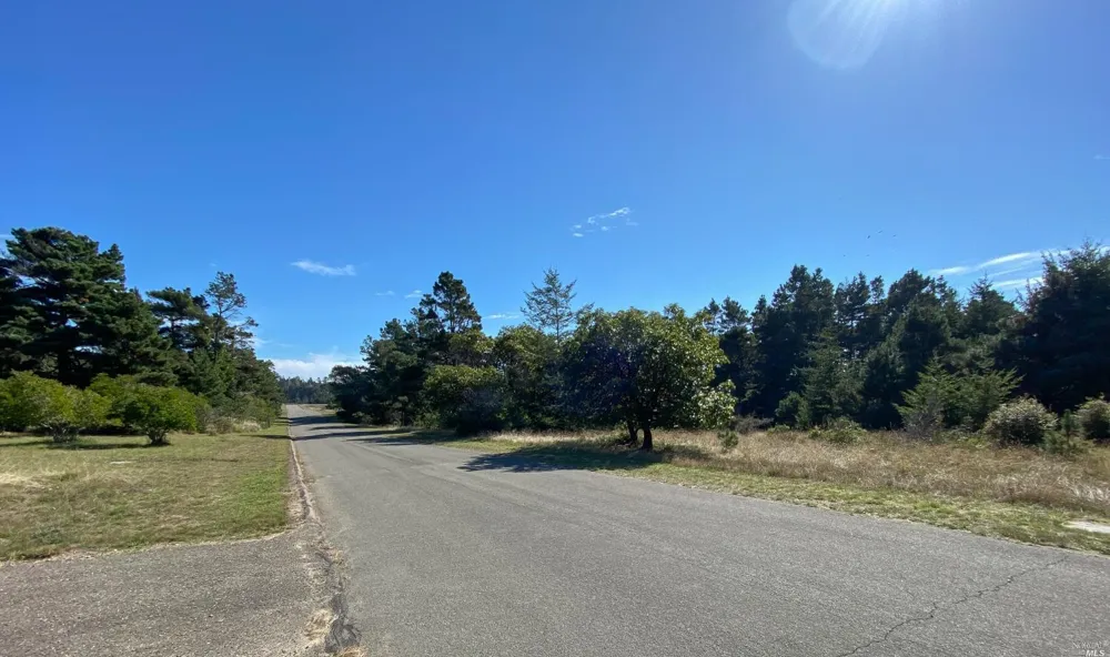 41179 Deer Trail The Sea Ranch, CA 95497